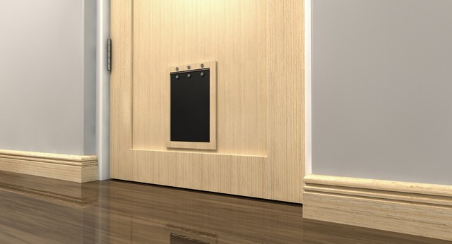 Cat Flap Installation Islington, Barnsbury, Canonbury, N1