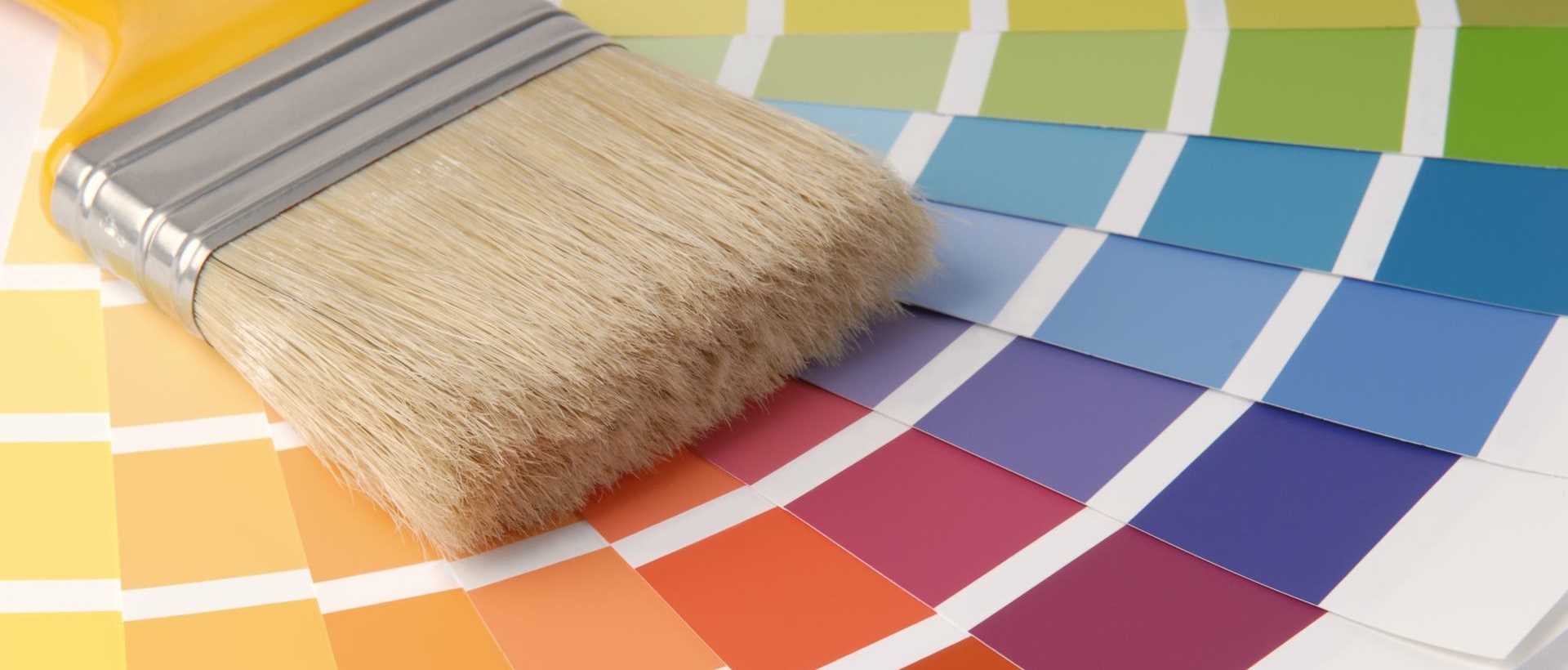 Painter N1